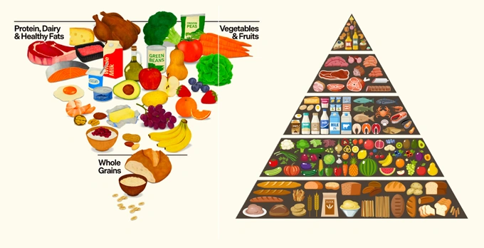 THE NEW FOOD PYRAMID: Healthy or Harmful?