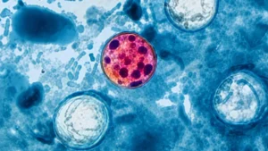 Fresh vegetables displayed as health officials investigate a Cyclospora-related foodborne illness outbreak in Michigan.