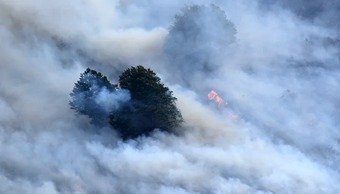 Wildfire smoke and air pollution threaten global air quality